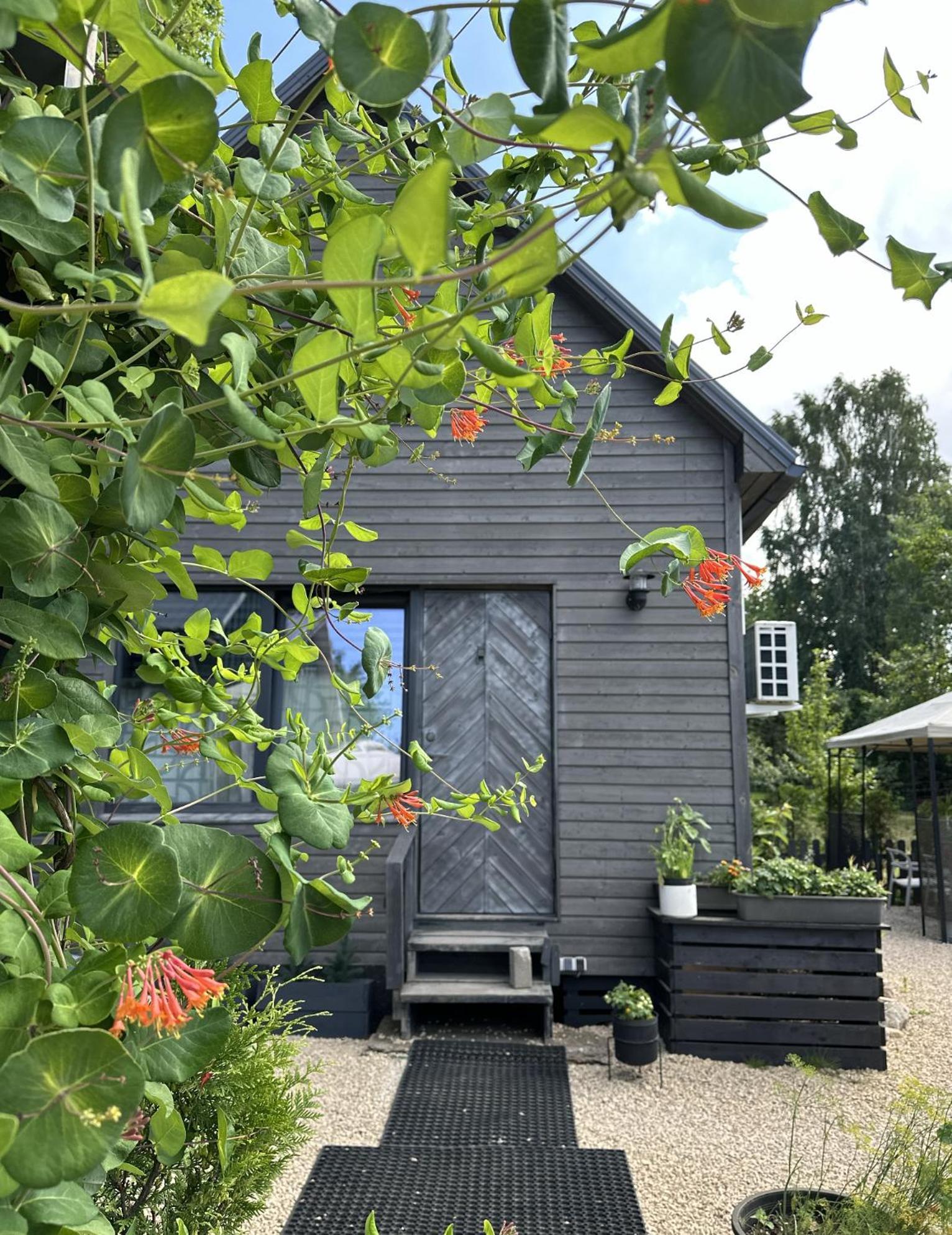 Вілла Amazing Little House On An Island With Garden Рига Екстер'єр фото